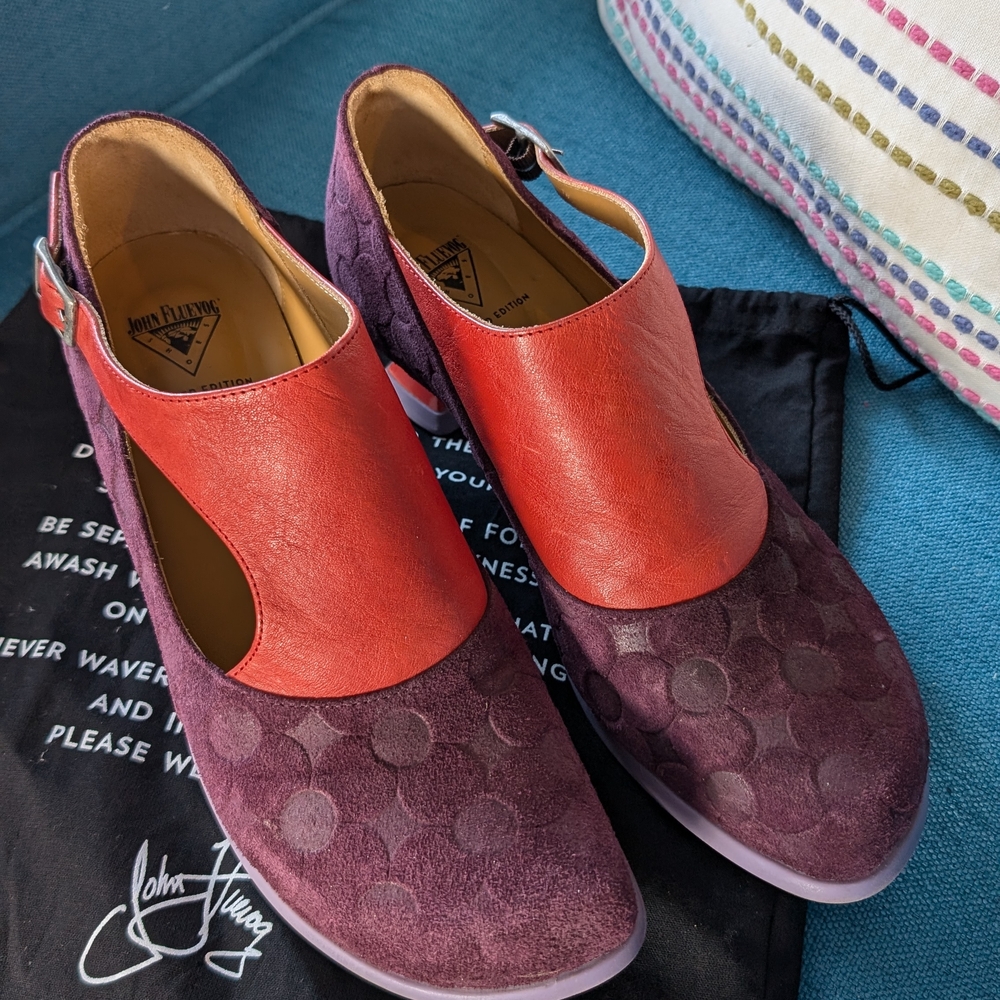 Limited Edition Purple and Red Side Buckle Shoes